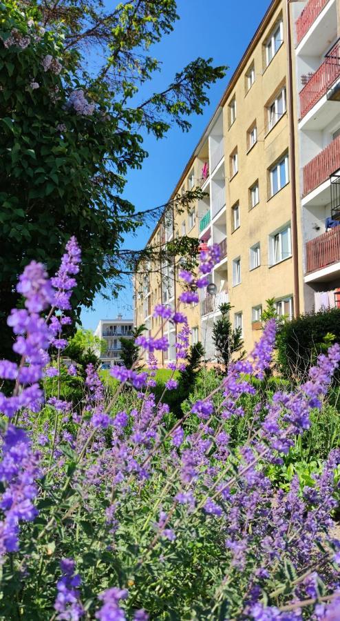 Apartament Sunwave Władysławowo Екстериор снимка