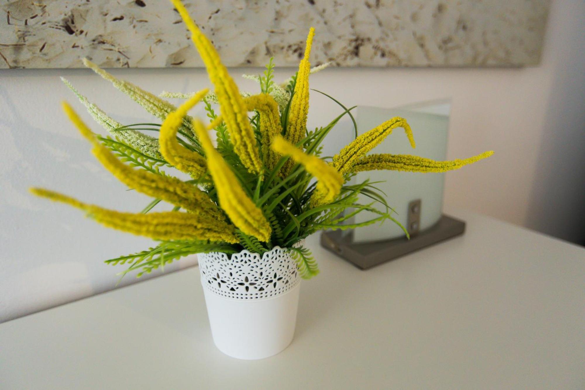 Apartament Sunwave Władysławowo Екстериор снимка